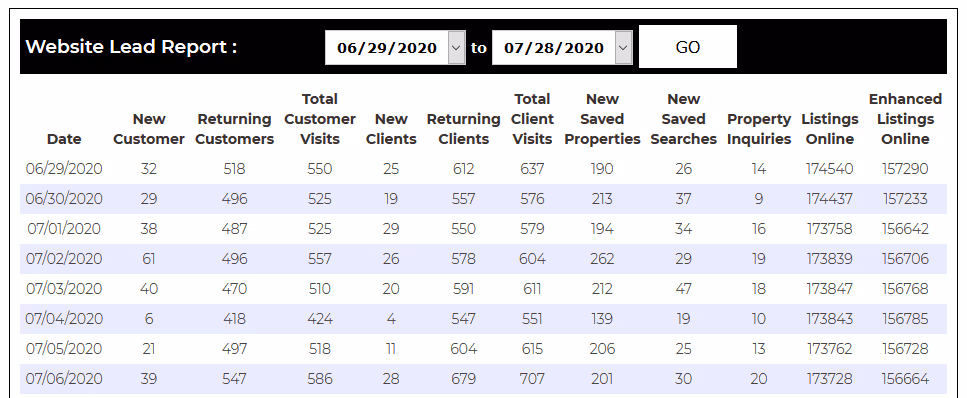 WebsiteLeadReport