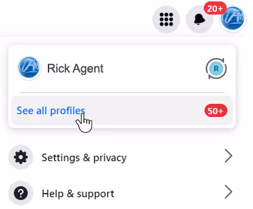 Select a Facebook business profile